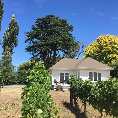 Tuki Vineyard Cottage Havelock North Dış mekan fotoğraf