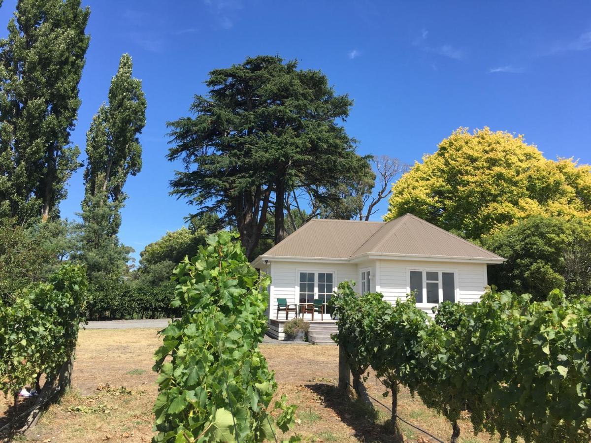 Tuki Vineyard Cottage Havelock North Dış mekan fotoğraf